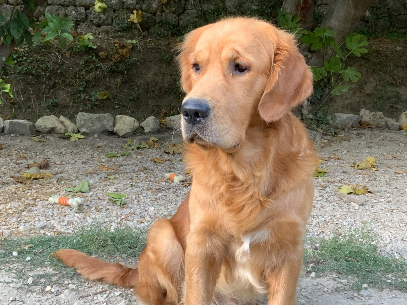 Vertige de l amour des tribus de Mataoka « CHARLY »
